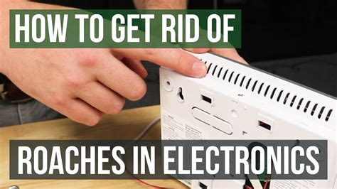 how to insulate electric breaker box for roaches|roach damage to electrical wiring.